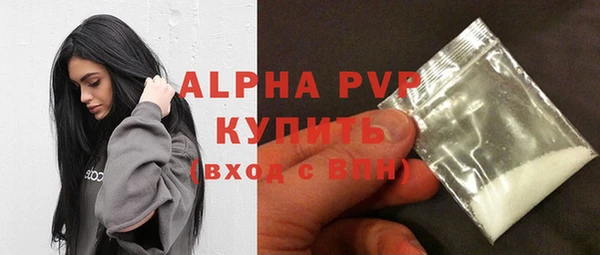 гашик Богородицк