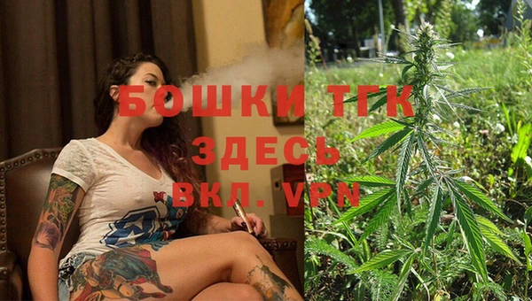 spice Богданович