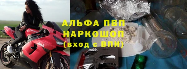 стаф Богородск